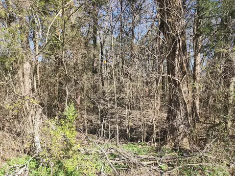 0 Haywood Hollow Rd, Columbia, TN 38401