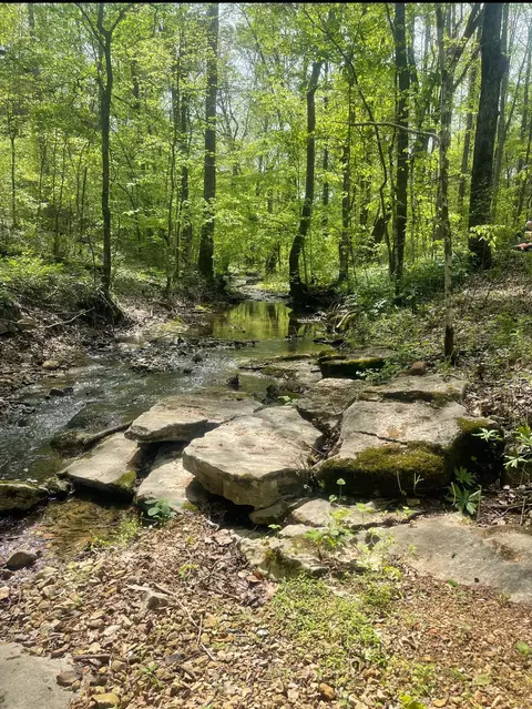 859 Lucas Rd, Dickson, TN 37055 photo 54