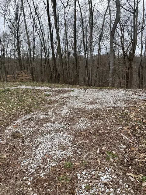 403 Maynard Ridge Rd, Silver Point, TN 38582 photo 3