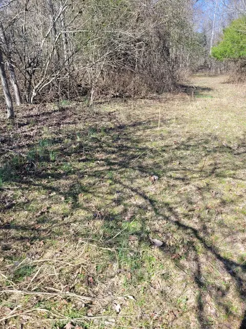 0 Cowhorne Hollow Rd, Prospect, TN 38477