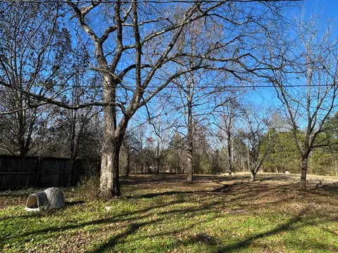 5153 Will Brown Rd, Spring Hill, TN 37174 photo 2