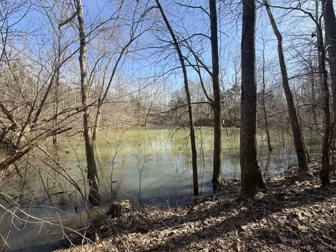 0 Epps Rd, Southside, TN 37171 photo 11