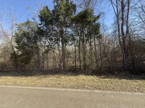 0 Epps Rd, Southside, TN 37171 photo 19