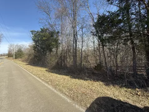 0 Epps Rd, Southside, TN 37171 photo 18