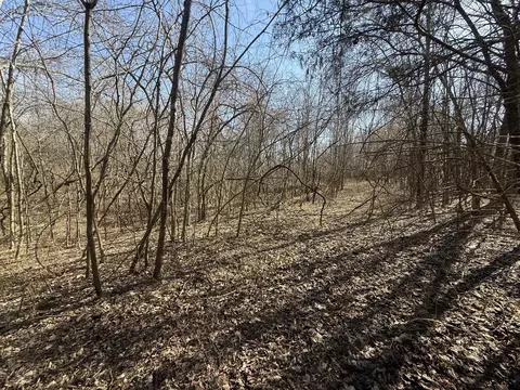 0 Epps Rd, Southside, TN 37171 photo 2