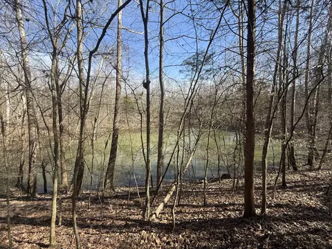 0 Epps Rd, Southside, TN 37171 photo 12