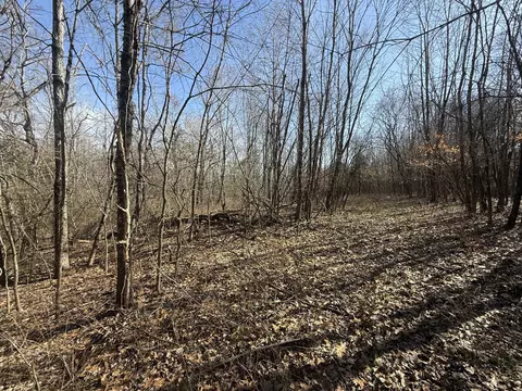 0 Epps Rd, Southside, TN 37171 photo 4