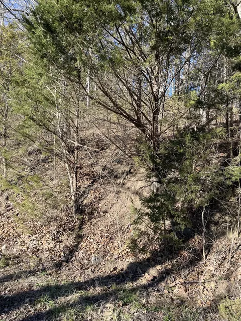 0 Davis Holw, Dowelltown, TN 37059