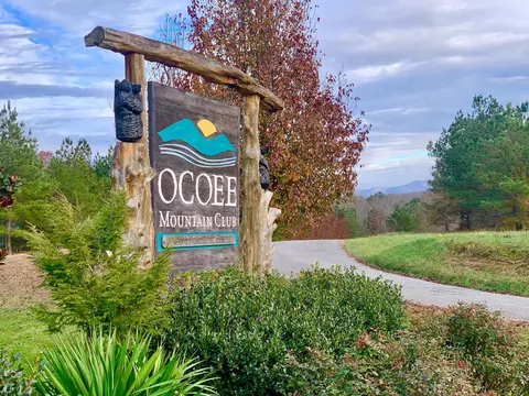 320 Mountain View Cir, Ocoee, TN 37361 photo 41