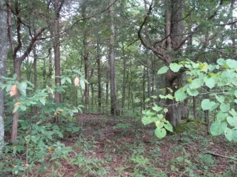 0 Malone, Nunnelly, TN 37137