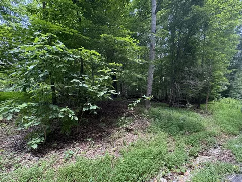 0 Old Stage Rd, Dickson, TN 37055 photo 3