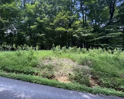 0 Old Stage Rd, Dickson, TN 37055 photo 5