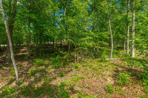 11564 Armstrong Rd, Soddy Daisy, TN 37379