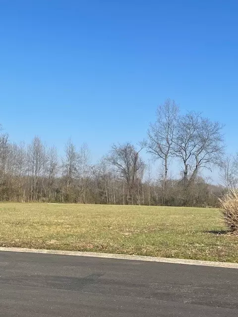 0 Hunters Landing Dr, Manchester, TN 37355
