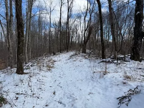 0 Bryant Ridge Rd, Baxter, TN 38544 photo 13