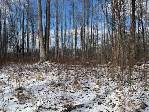 0 Bryant Ridge Rd, Baxter, TN 38544 photo 6