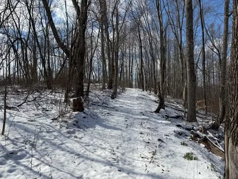 0 Bryant Ridge Rd, Baxter, TN 38544 photo 18