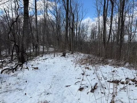 0 Bryant Ridge Rd, Baxter, TN 38544 photo 16