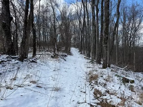 0 Bryant Ridge Rd, Baxter, TN 38544 photo 15