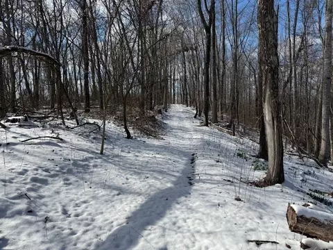 0 Bryant Ridge Rd, Baxter, TN 38544 photo 8