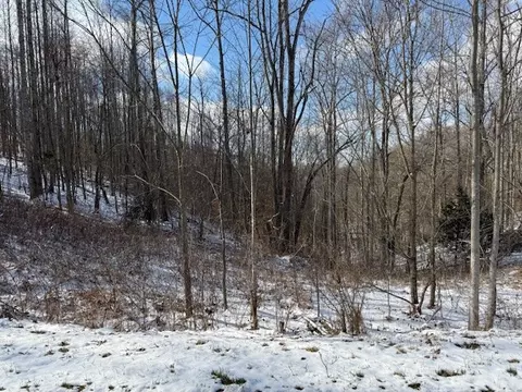 0 Bryant Ridge Rd, Baxter, TN 38544 photo 2