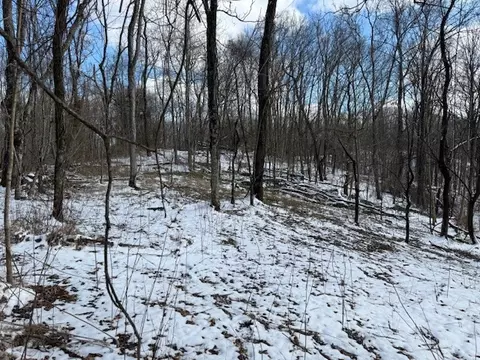 0 Bryant Ridge Rd, Baxter, TN 38544 photo 9