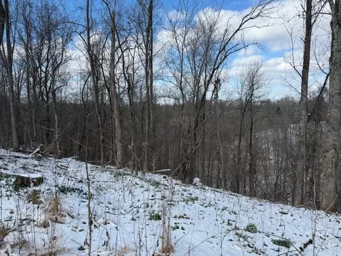 0 Bryant Ridge Rd, Baxter, TN 38544 photo 14