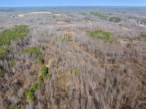 0 Highway 54, Paris, TN 38242