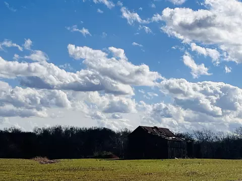 4411 Benson Rd, Springfield, TN 37172 photo 33
