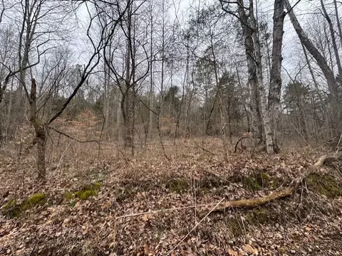 0 W O Lick Creek Rd, Lyles, TN 37098
