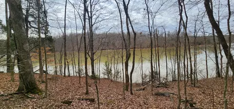0 Mcminnville Hwy, Quebeck, TN 38579