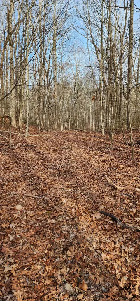 0 Hunziker Rd, Tracy City, TN 37387