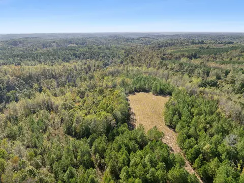 0 Cox Hollow Rd #LOT 10, Dover, TN 37058 photo 2