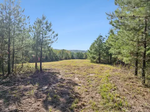 0 Cox Hollow Rd #LOT 10, Dover, TN 37058 photo 3