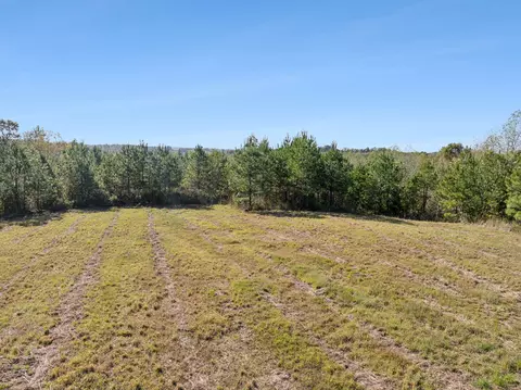 0 Cox Hollow Rd #LOT 10, Dover, TN 37058 photo 4