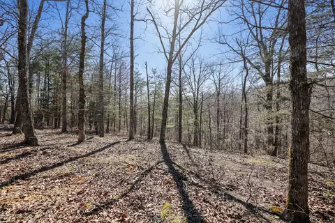 7108 Adams Rd, Centerville, TN 37033 photo 18