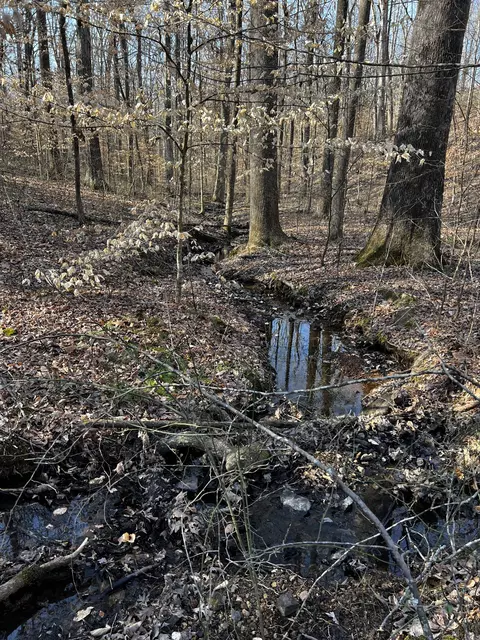 1232 W Point Rd, Lawrenceburg, TN 38464