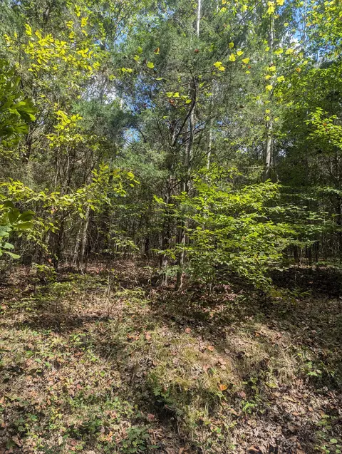 0 Meadows Rd, Cumberland Furnace, TN 37051