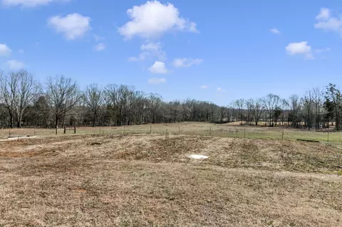 84 Atchison Rd, Springville, TN 38256 photo 43