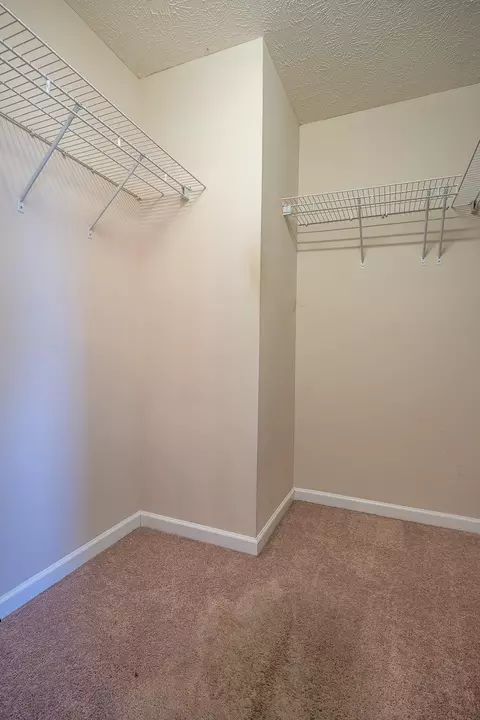 3000 Ping Ct, Spring Hill, TN 37174 photo 26