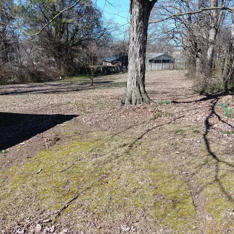506 5th Ave E, Springfield, TN 37172 photo 6
