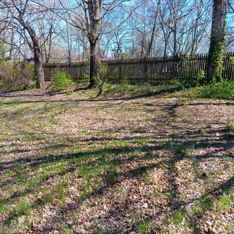 506 5th Ave E, Springfield, TN 37172 photo 10