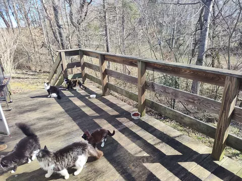171 Webbs Camp Rd, Walling, TN 38587 photo 14