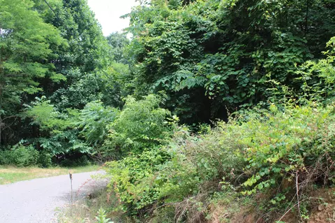 83 Dancing Fern Rd, Sequatchie, TN 37374 photo 3