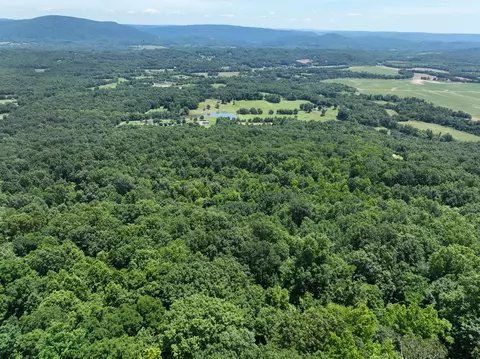 83 Dancing Fern Rd, Sequatchie, TN 37374 photo 13