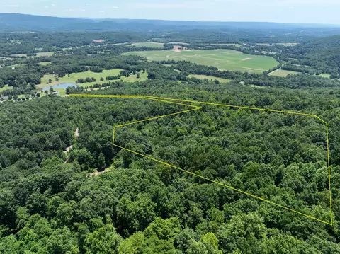 83 Dancing Fern Rd, Sequatchie, TN 37374 photo 16