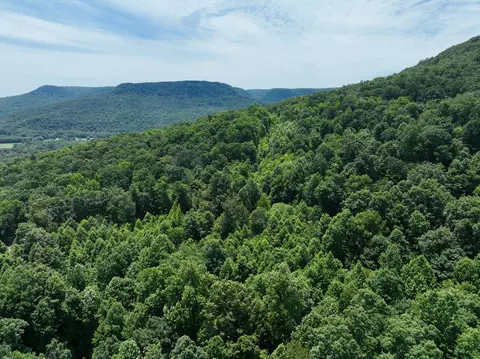 83 Dancing Fern Rd, Sequatchie, TN 37374 photo 15