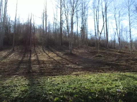 0 Rock House Hollow Rd, Bethpage, TN 37022