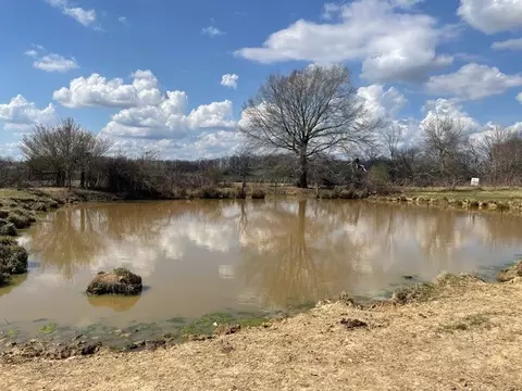 View/Area - 380 Browntown Rd, Morrison, TN 37357 photo 2 of 2