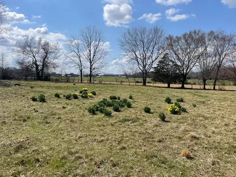 Other - 380 Browntown Rd, Morrison, TN 37357 photo 1 of 2